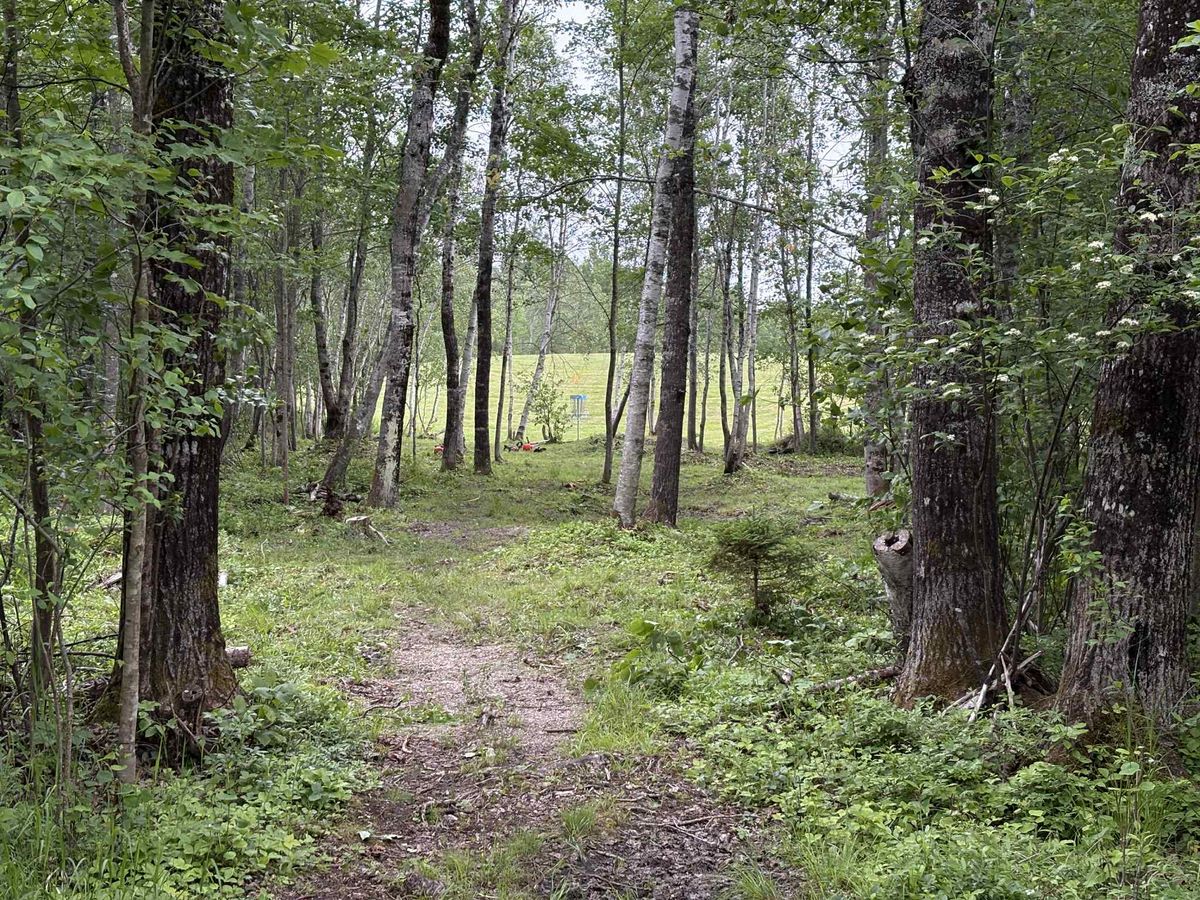 Tee hole 7