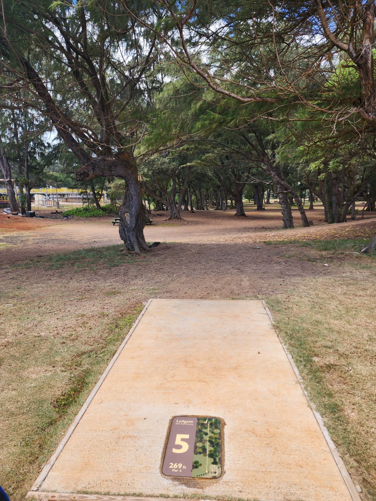 5th tee