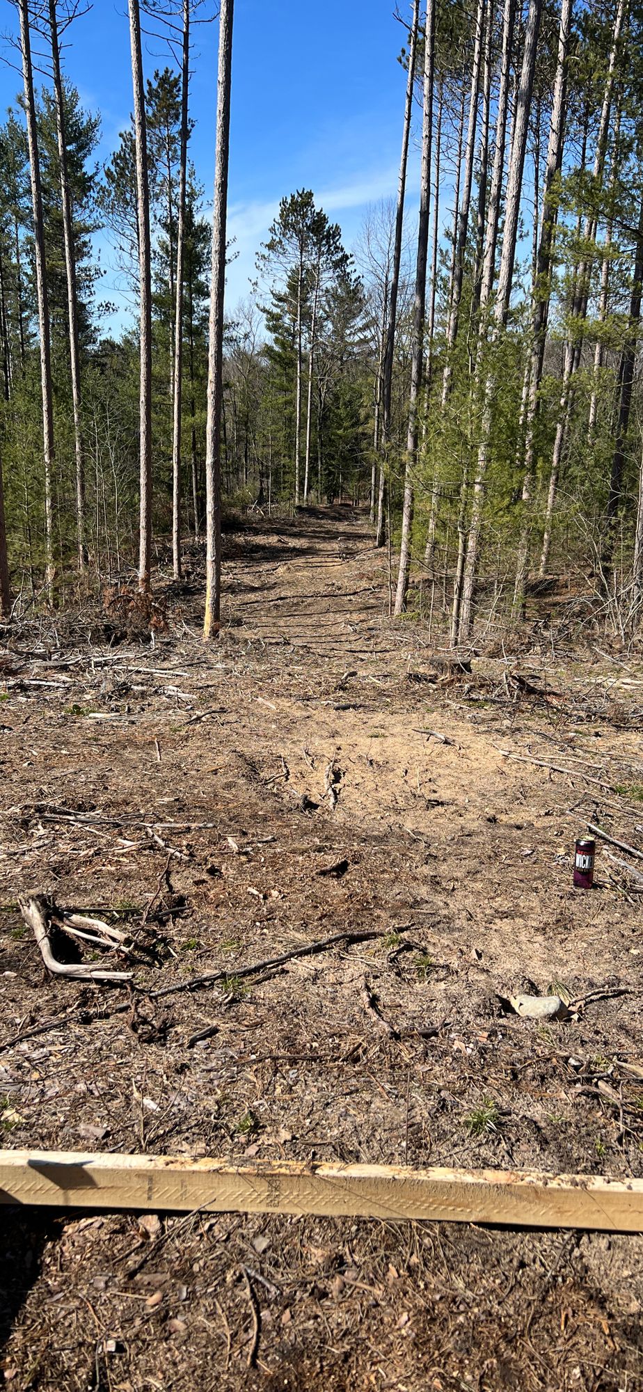 Hole 12 Tee