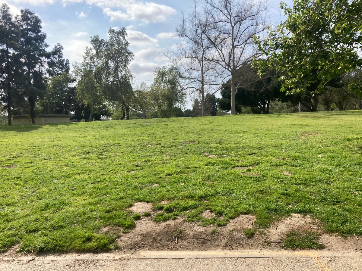 Old Hole #26