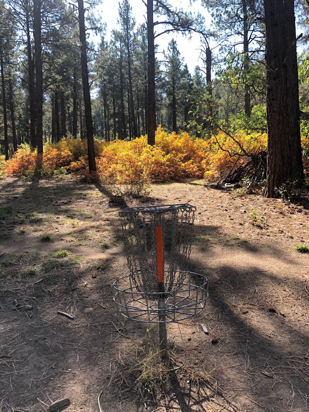 Clean course