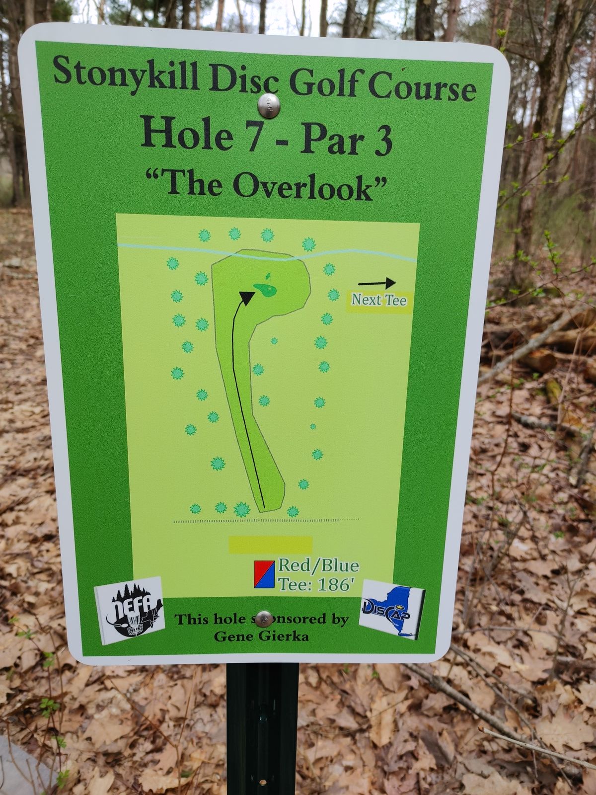 Hole 7 map