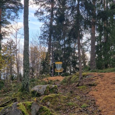 Fantastiskt fint med de nya Latitude64 korgarna, vilket lyft 👍🙂