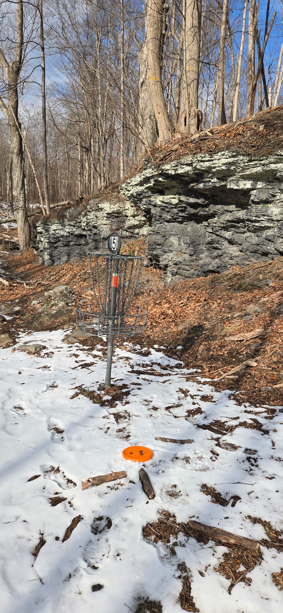 Hole 5 bakset at bottom of hill