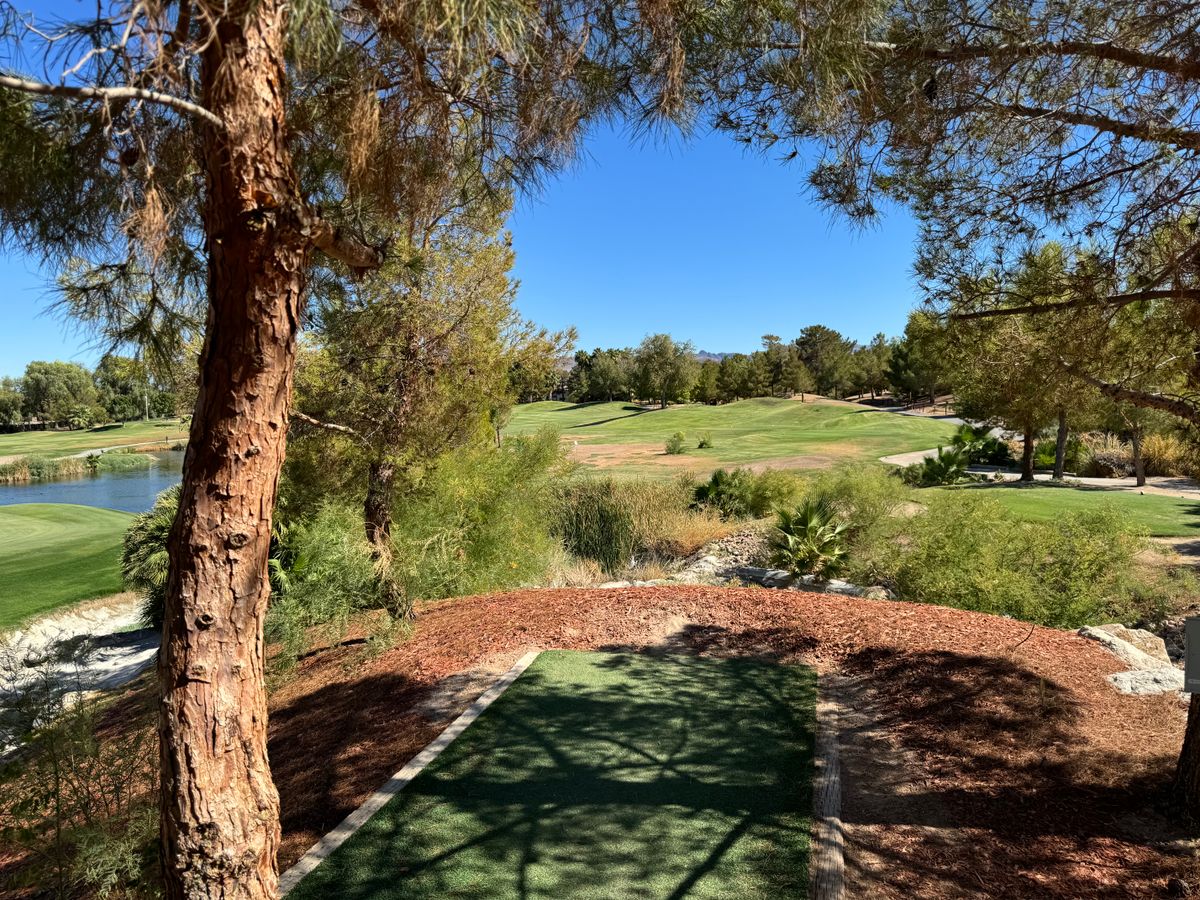 Nice tee pads
