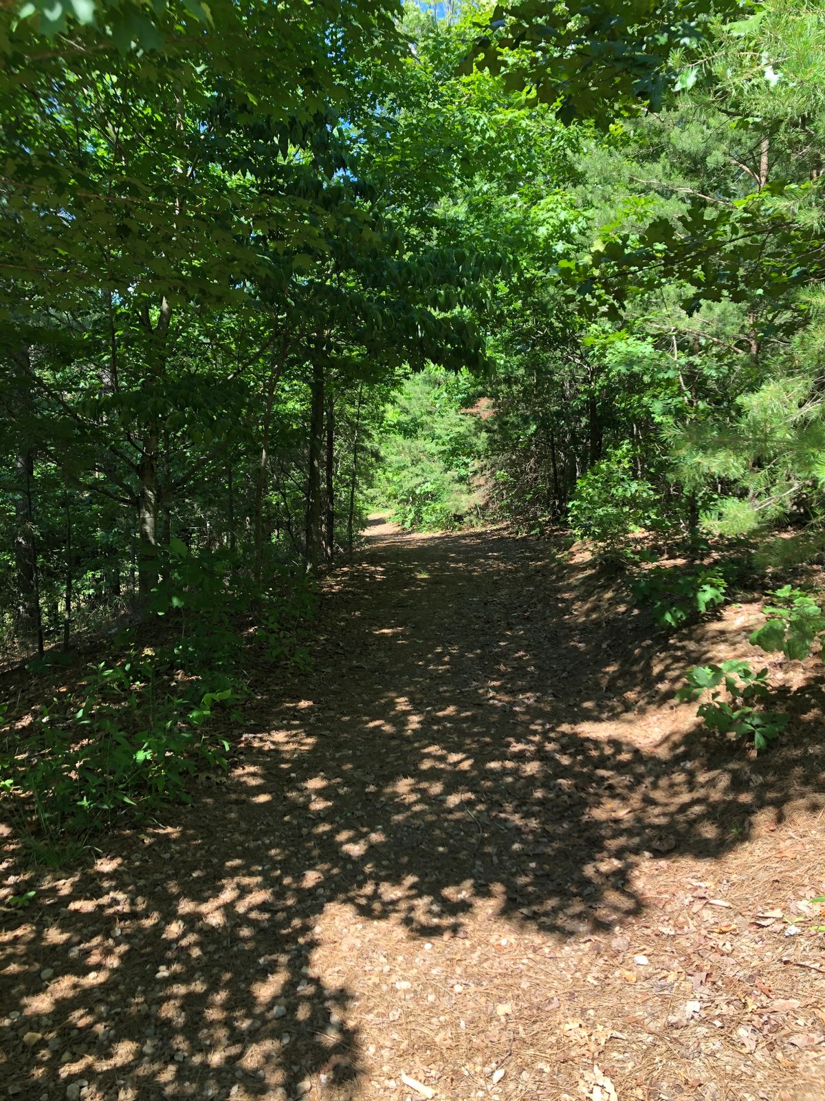 Top of hill where first tee is, unmarked tee box