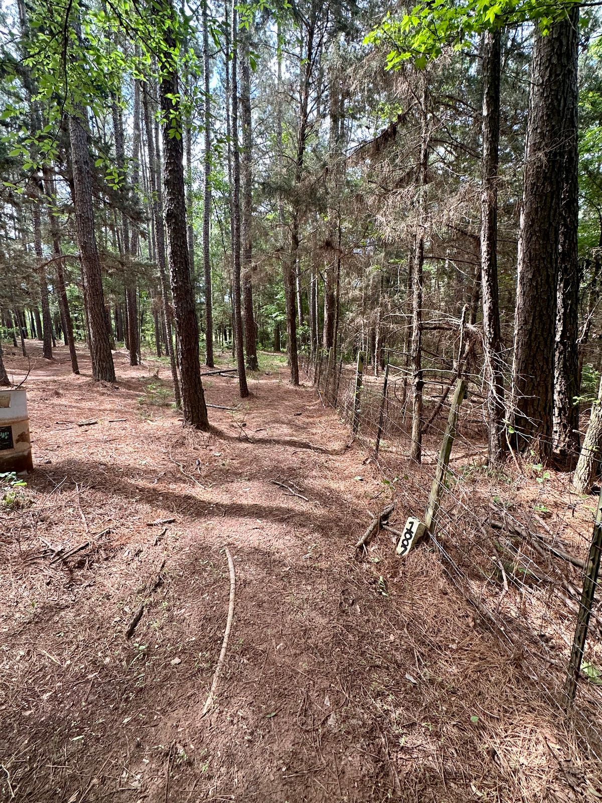 Hole 6