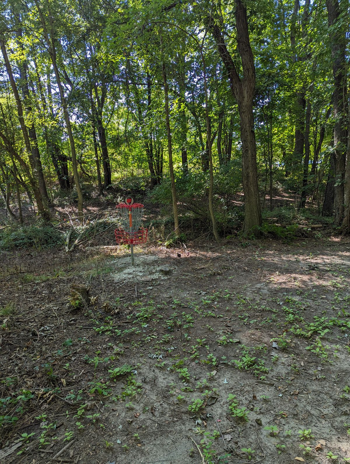 Hole 8 Basket