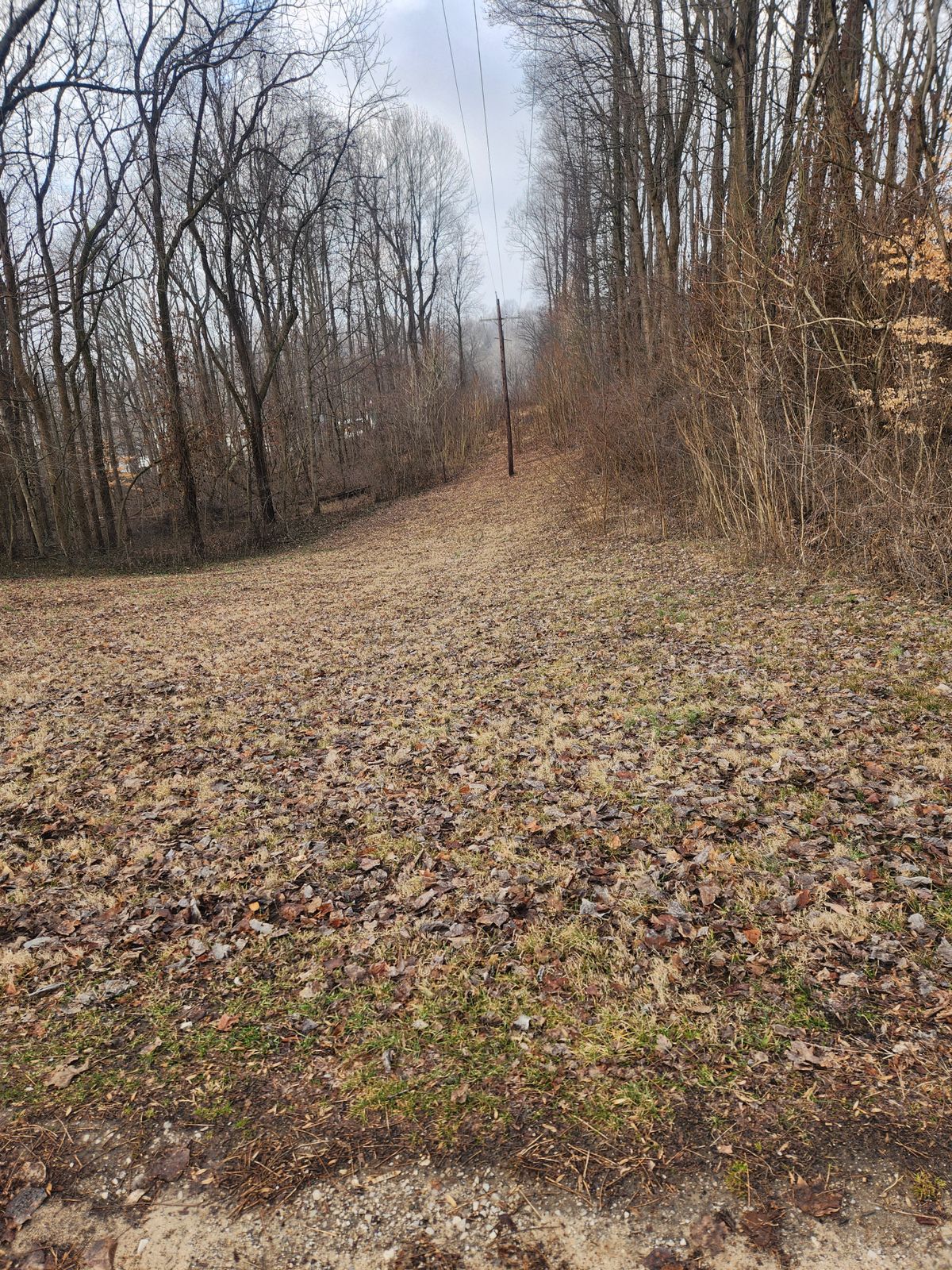 Hole 10 - 90 degree right turn downhill 170 ft, basket in front of pole.