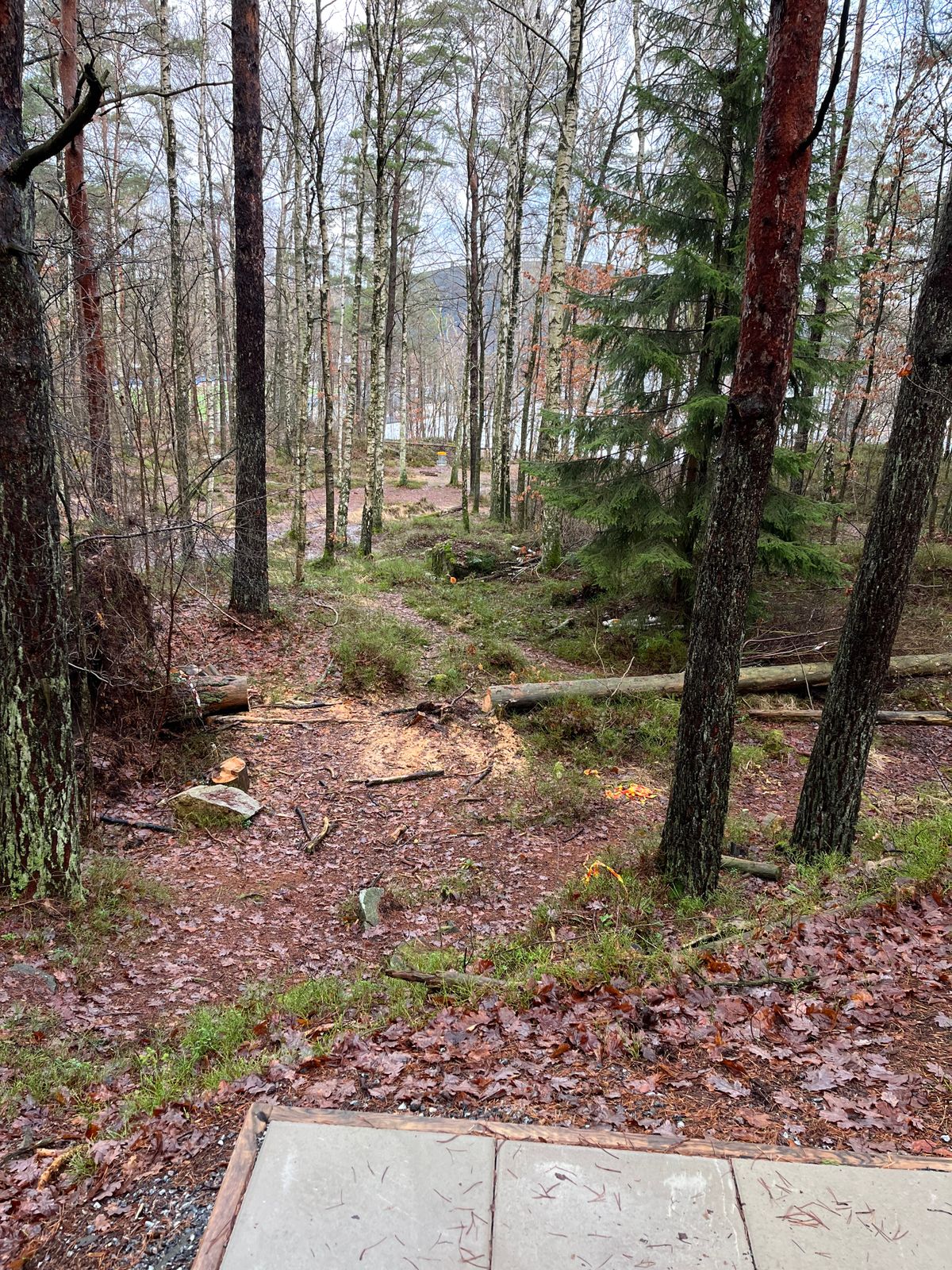 Hål 12.