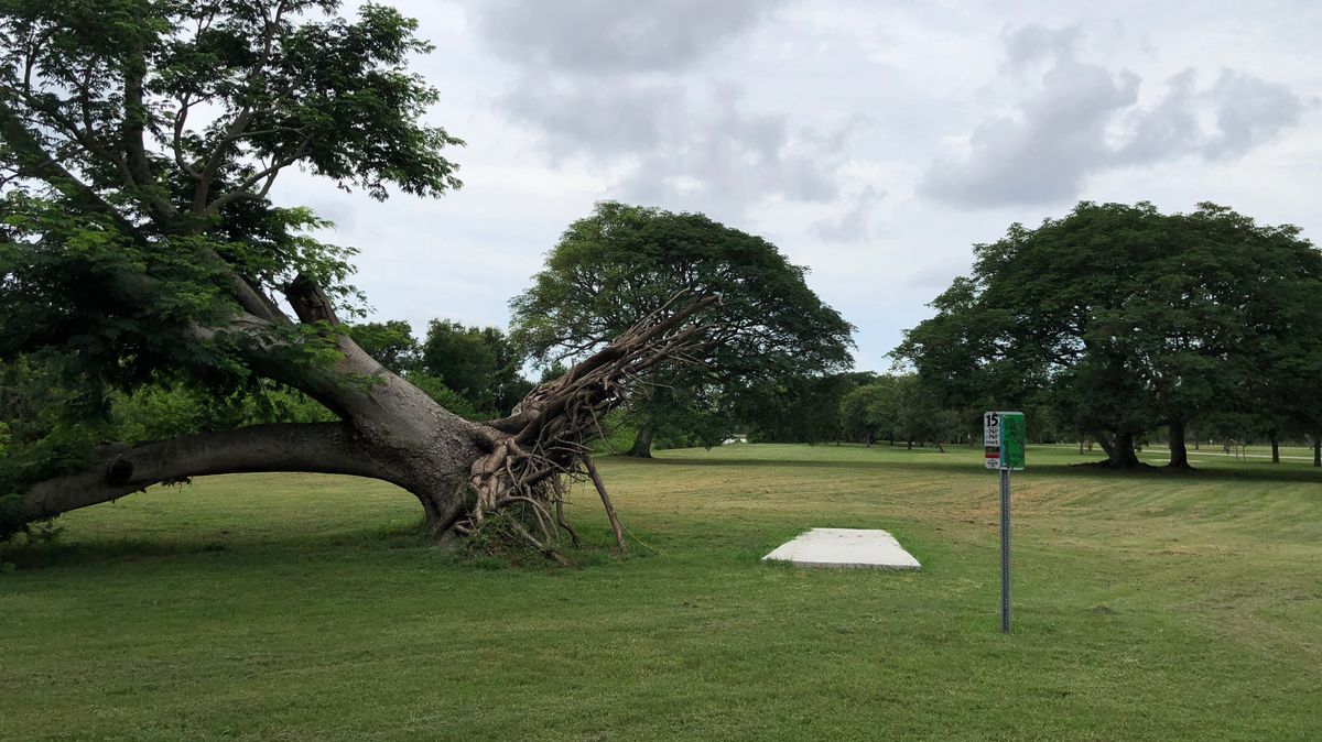 Hole 15