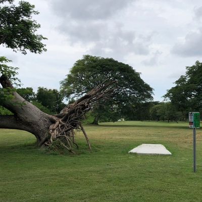 Hole 15