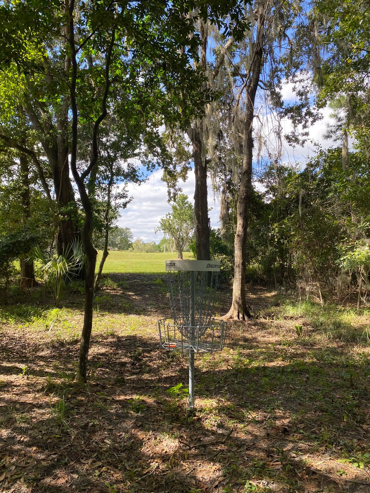 Hole 6