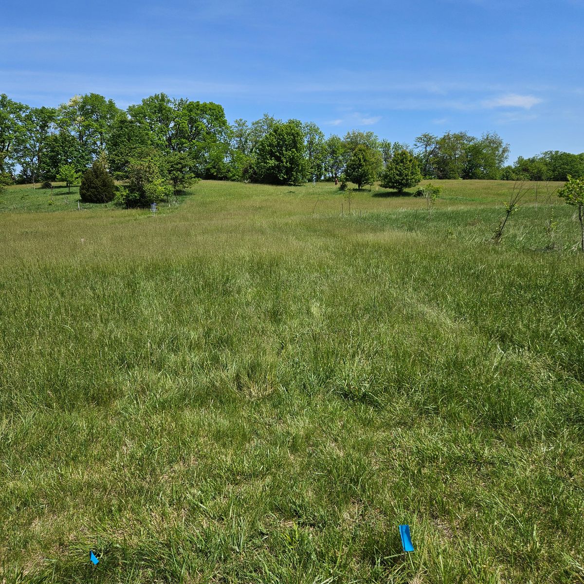 Hole 14