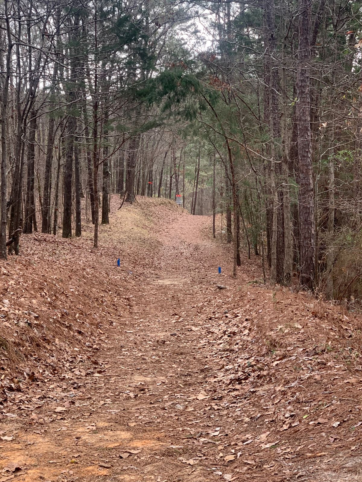 13 fairway