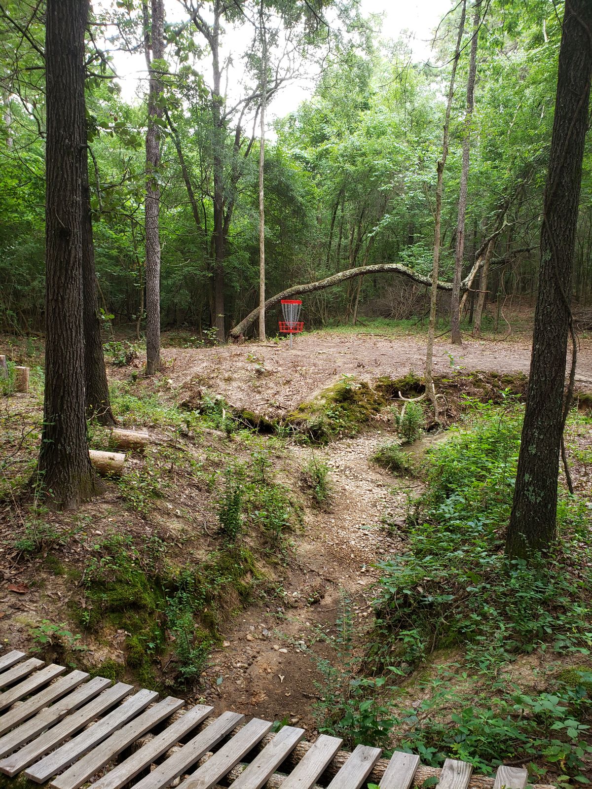 #3 Red Basket view