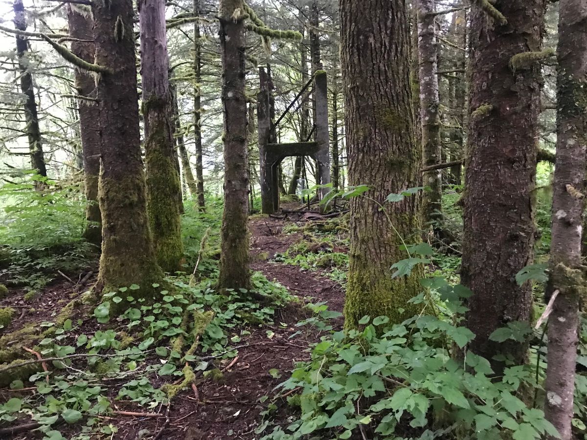 Hole 1: from the tee pad to basket