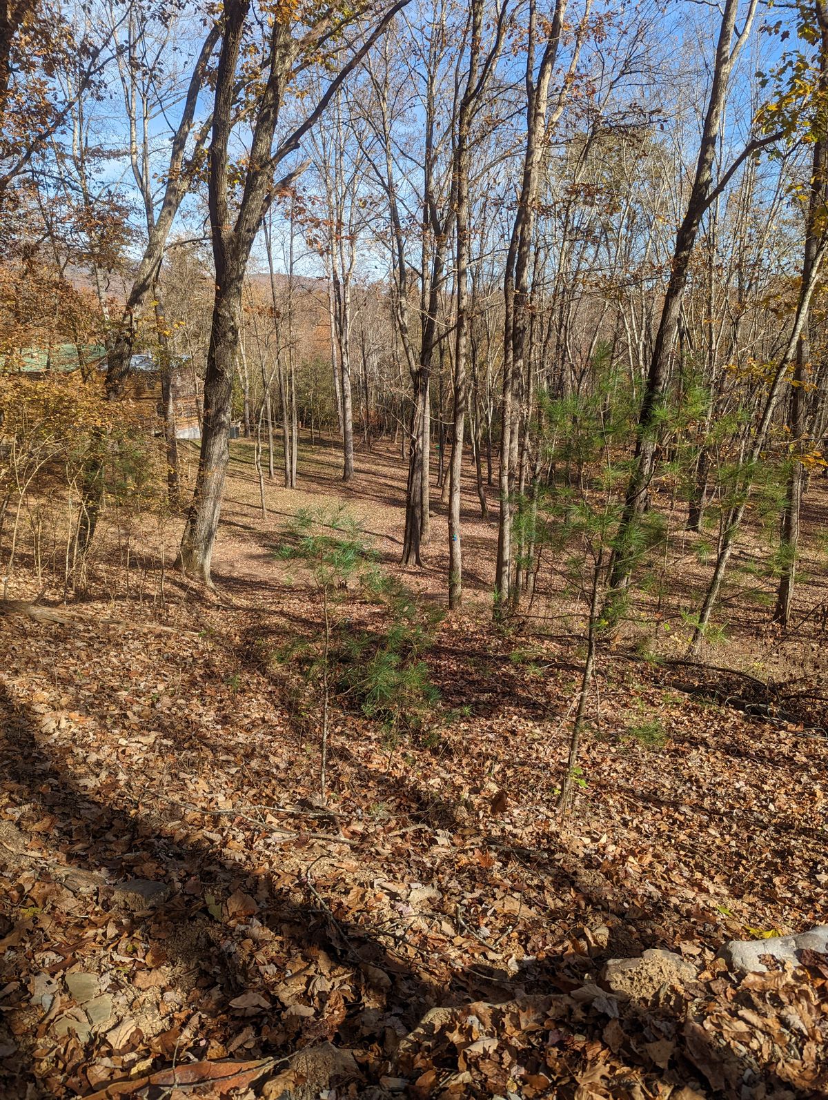 Hole #2