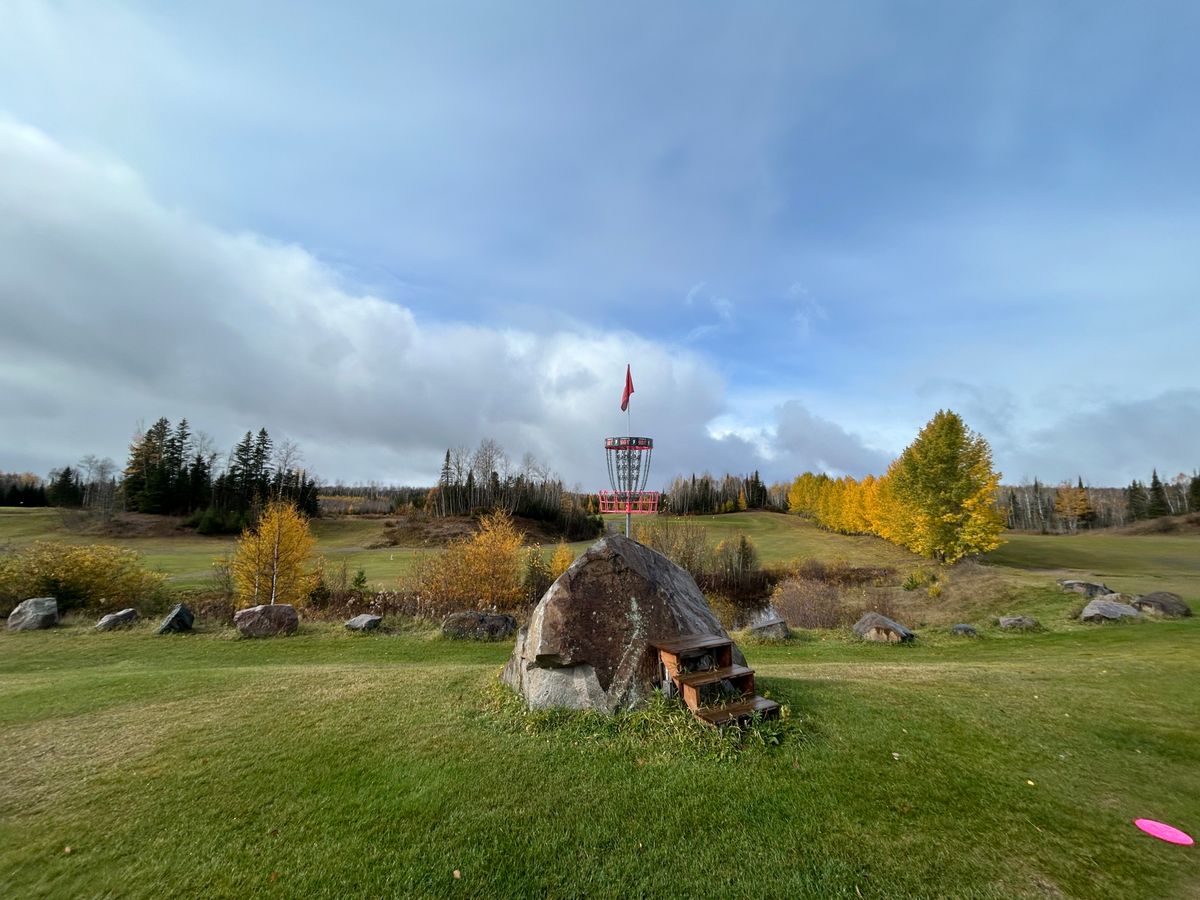 Hole 7 basket - stunning