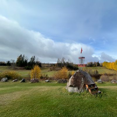 Hole 7 basket - stunning