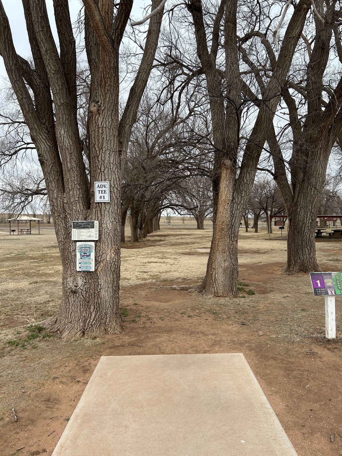 Hole 1 from the Advanced Tee