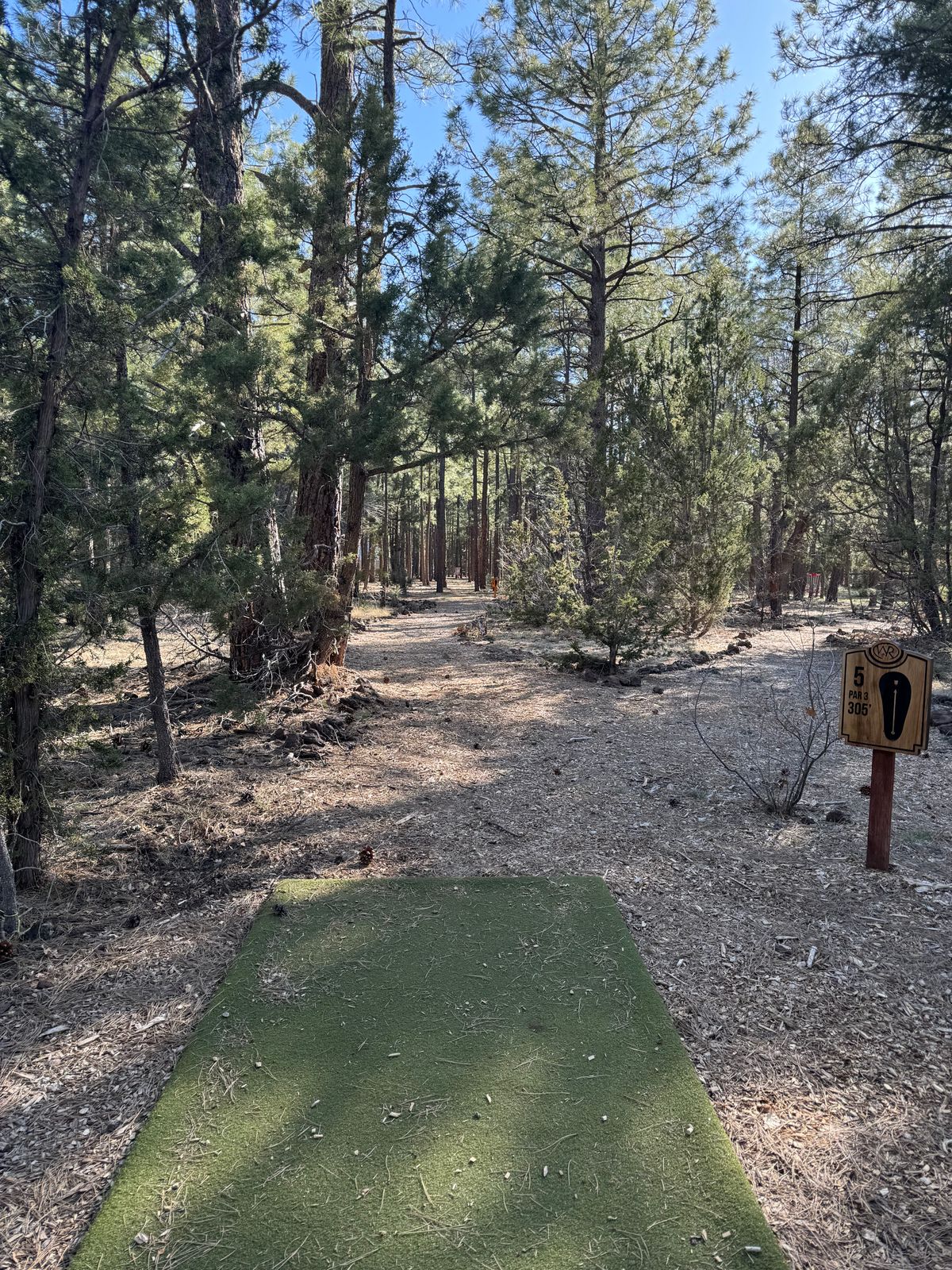 Hole 5 Tee