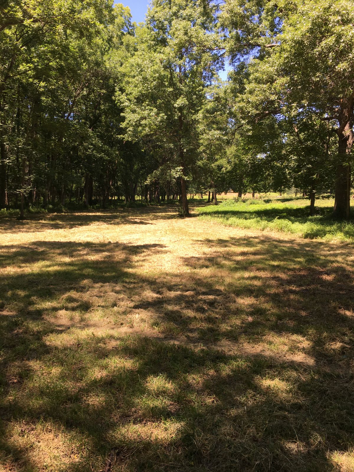 Hole 4 Fairway