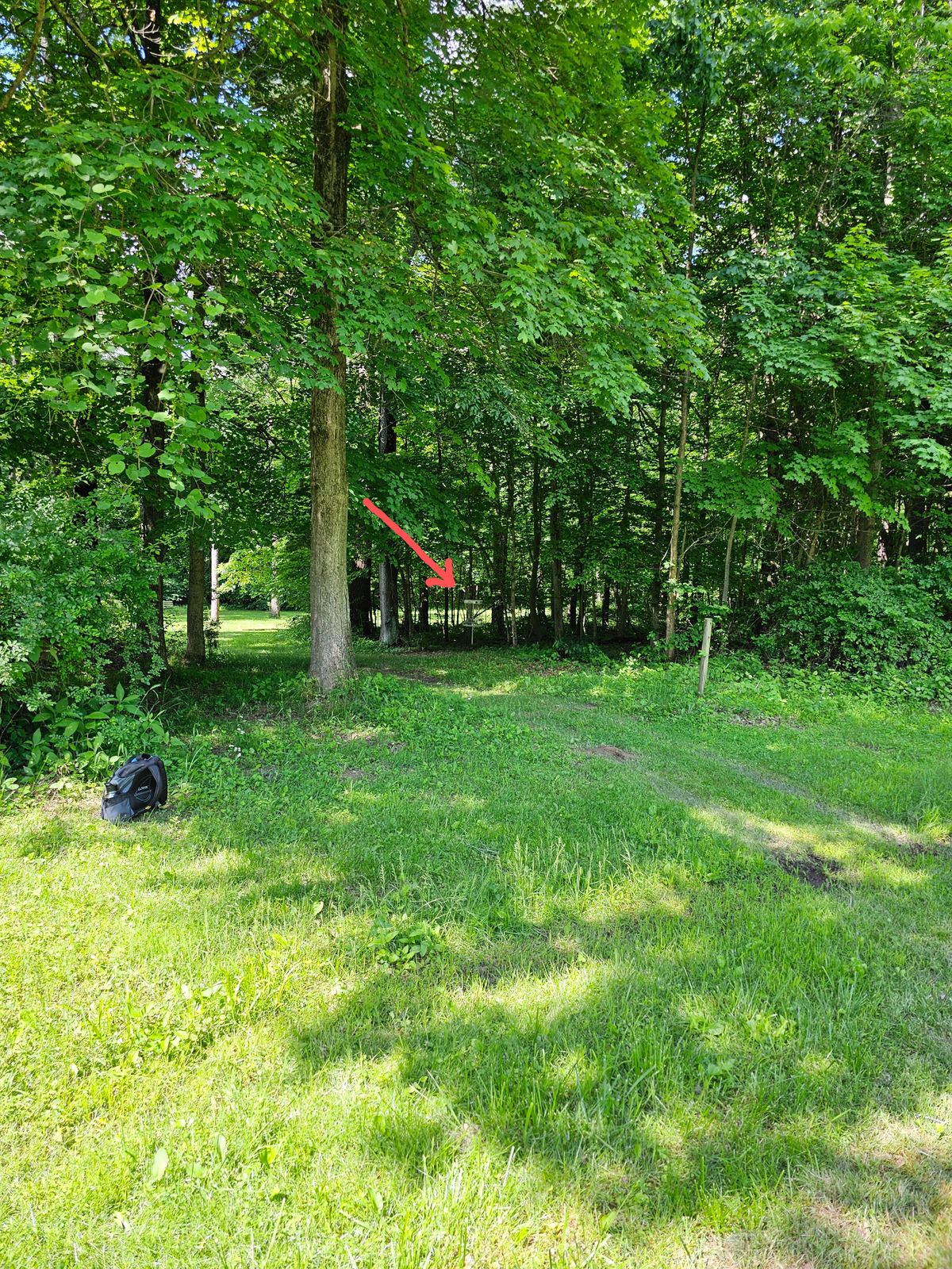 Hole 9 basket