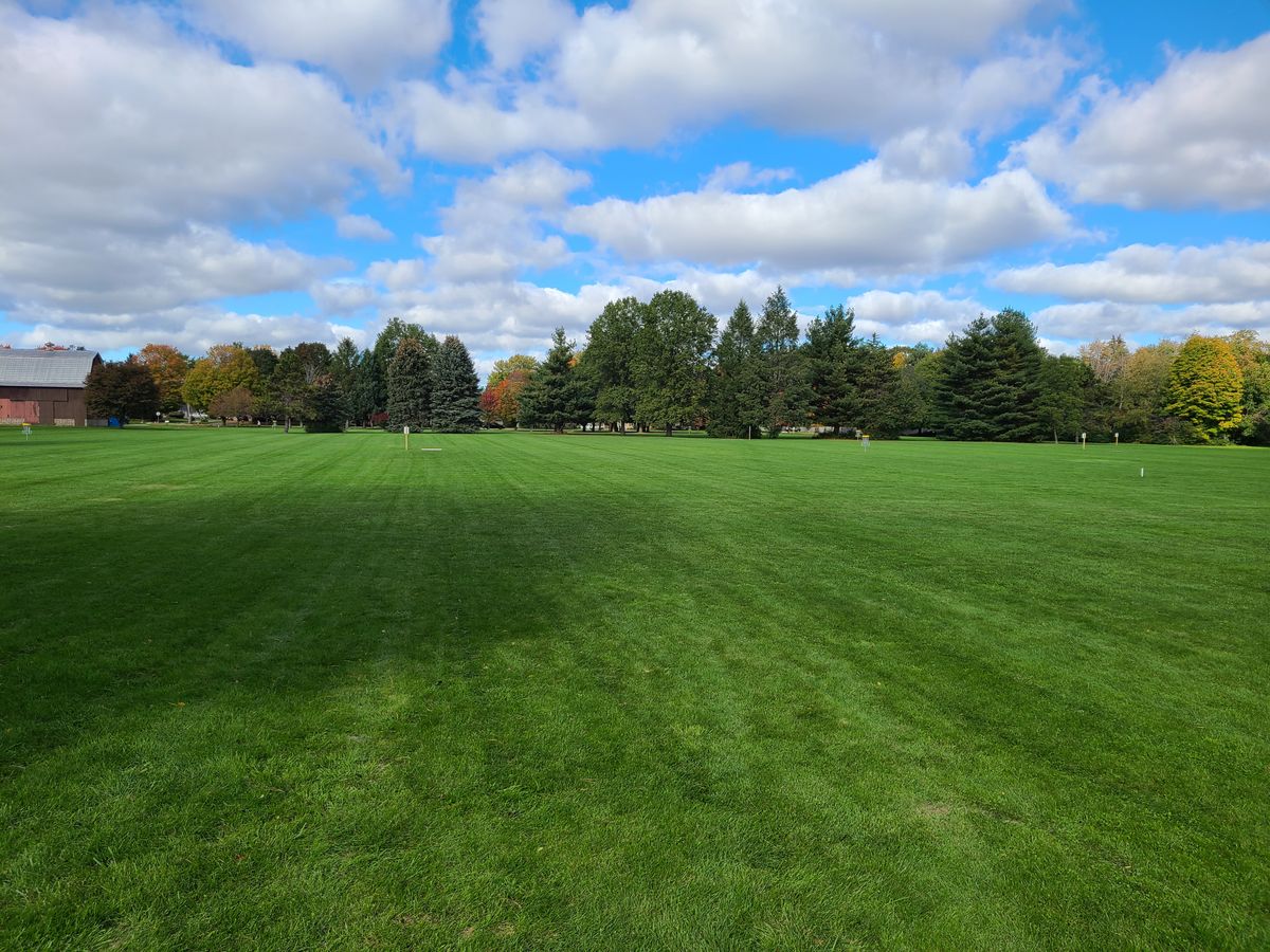 Many wide open shots.