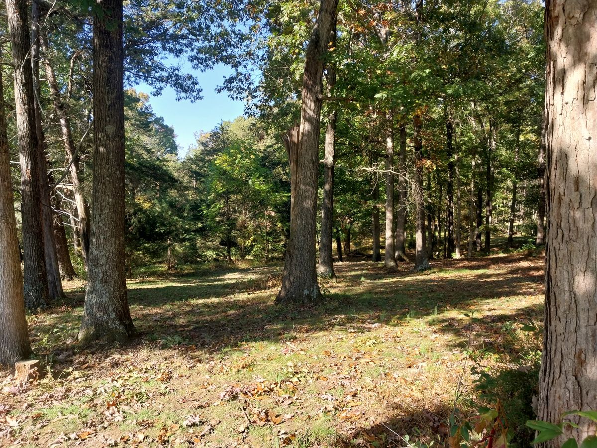 3 fairway