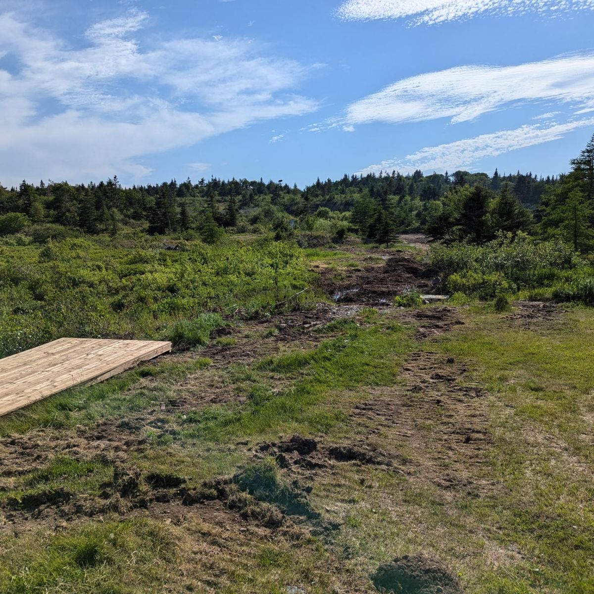 Hole #1 Blue Tee