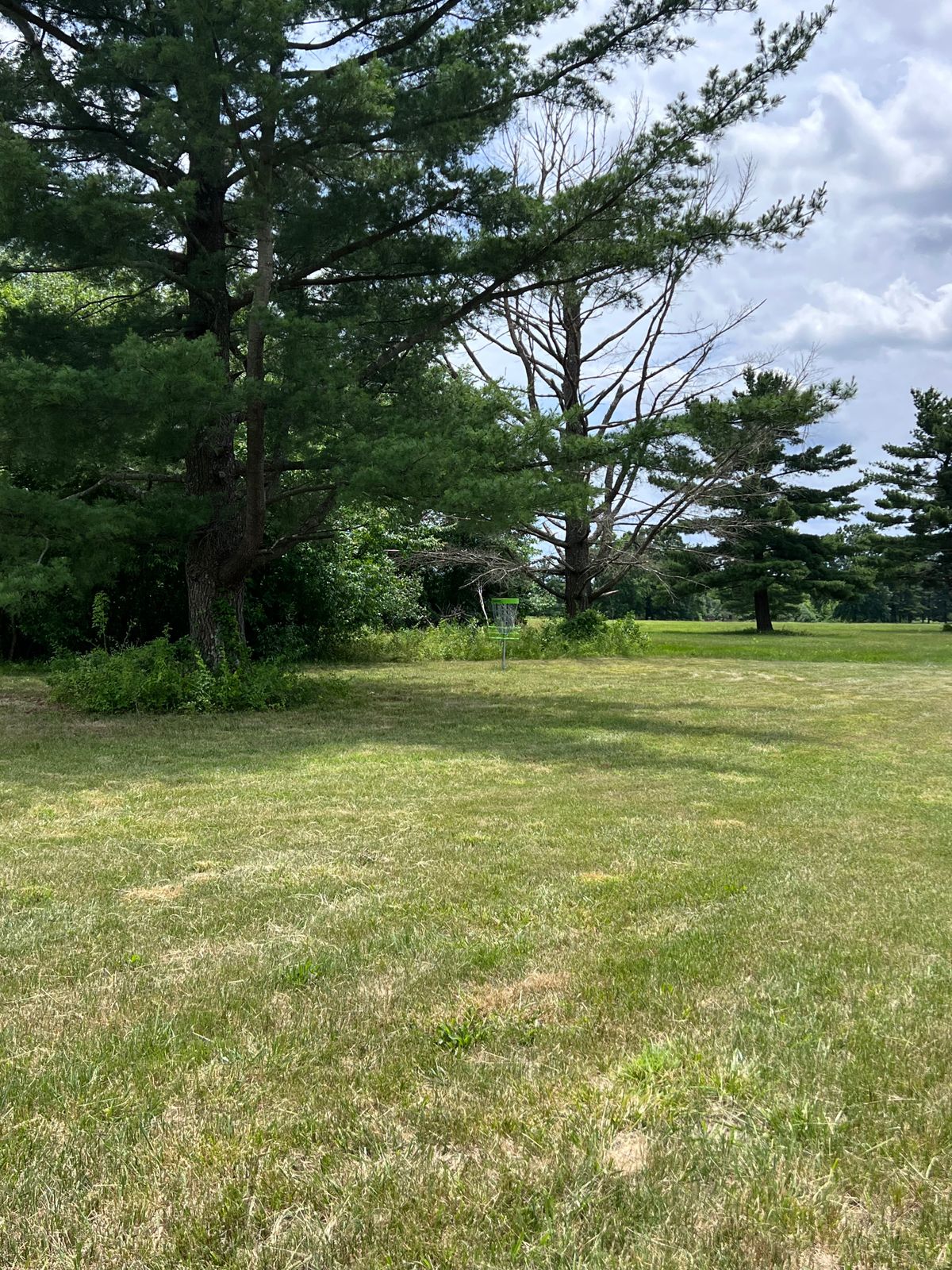 Hole 13 basket