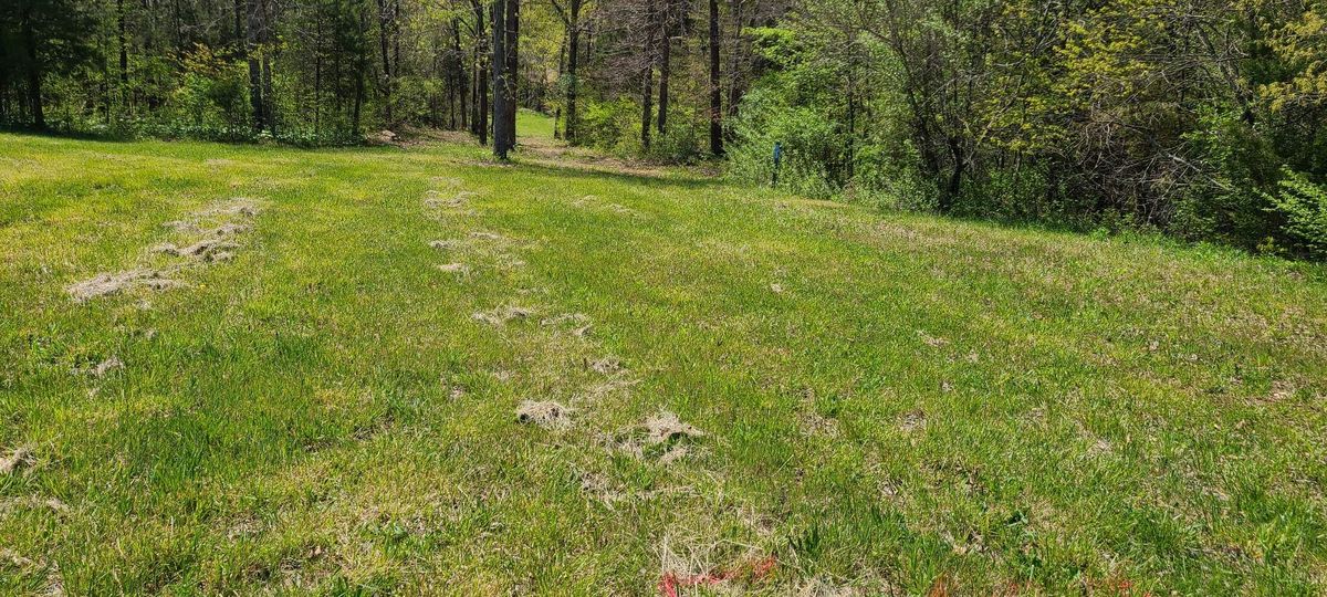 Hole 6 tee
