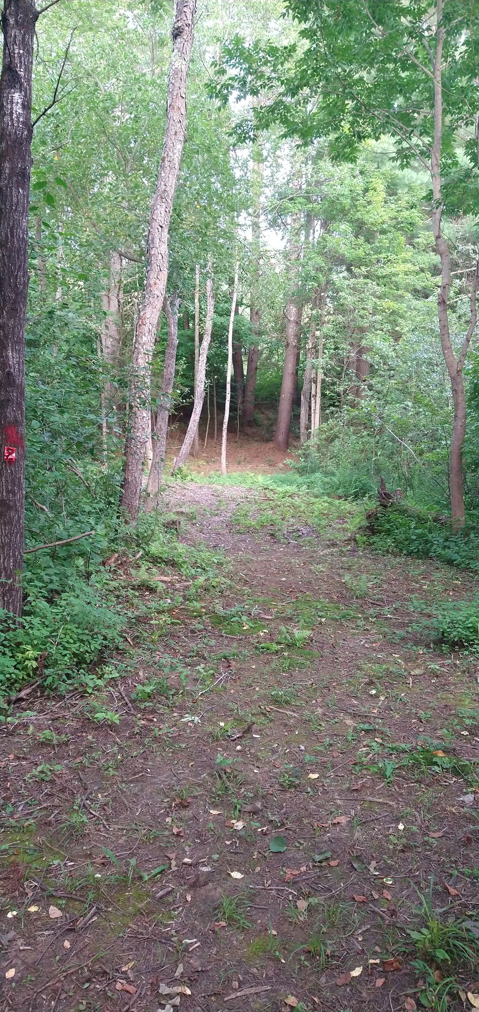 Hole 2