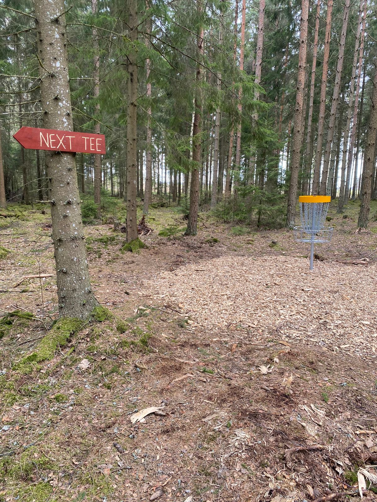 Greenområde hål 8