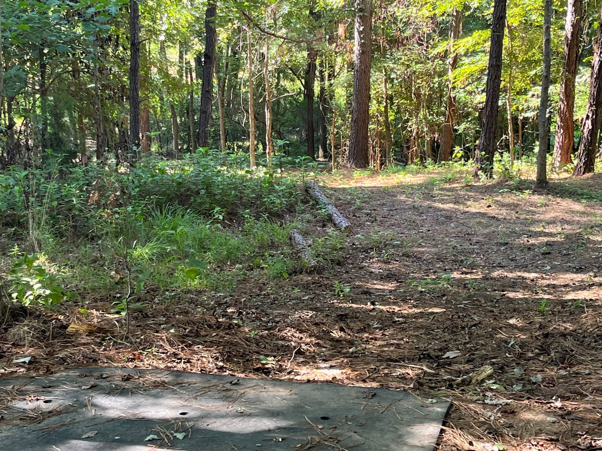 Hole 2 tee box