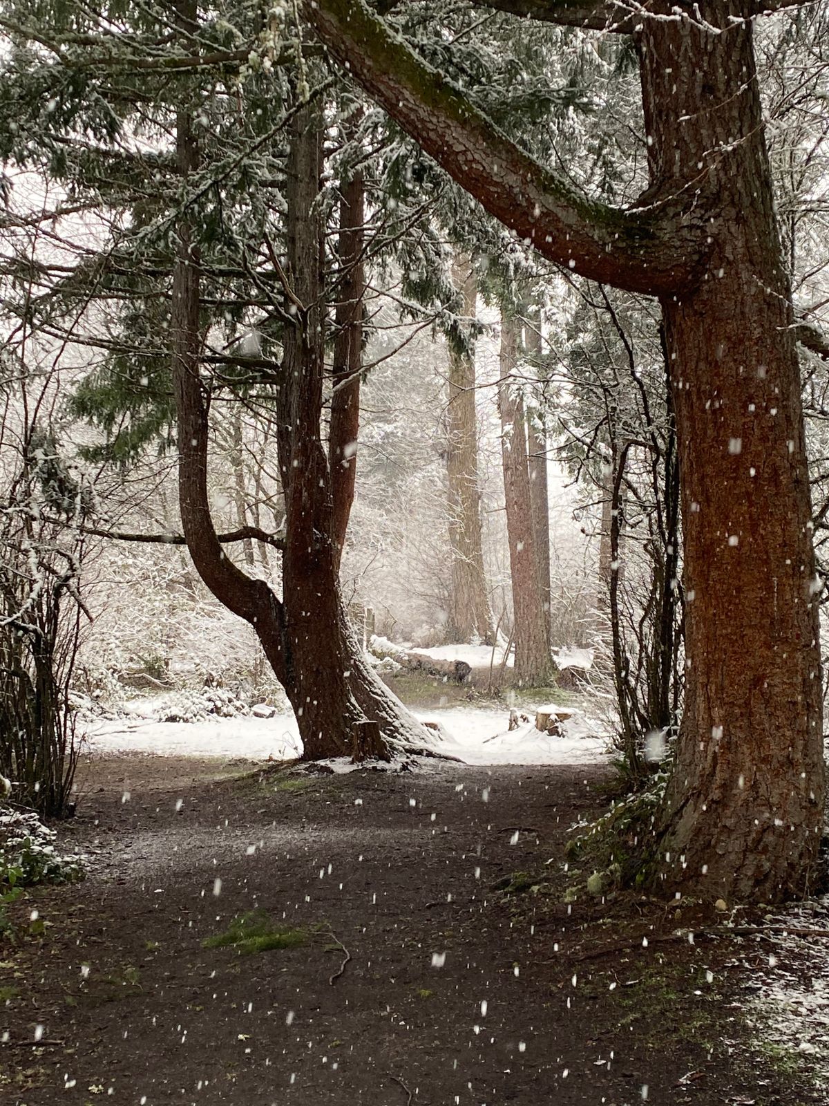 Woodland Creek Community Park