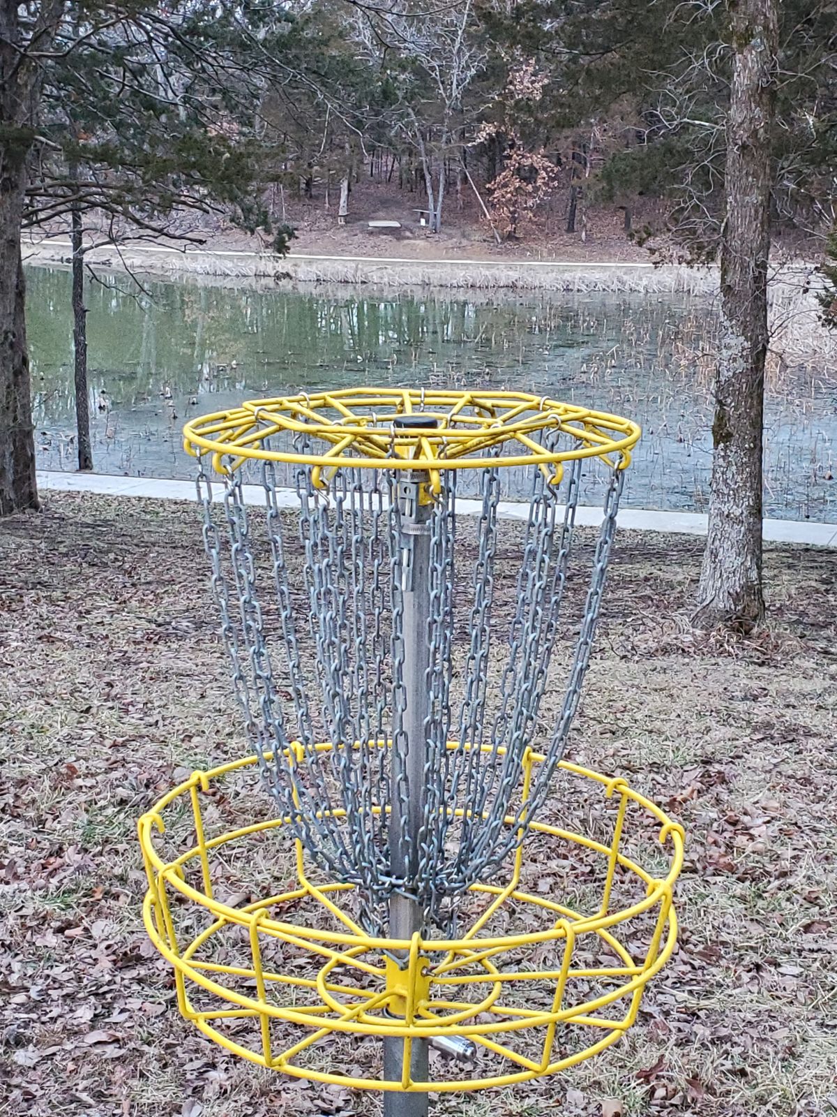 Basket on 17