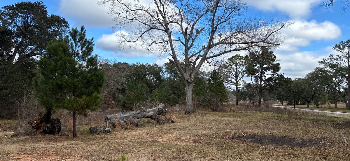Hole 12 Blue