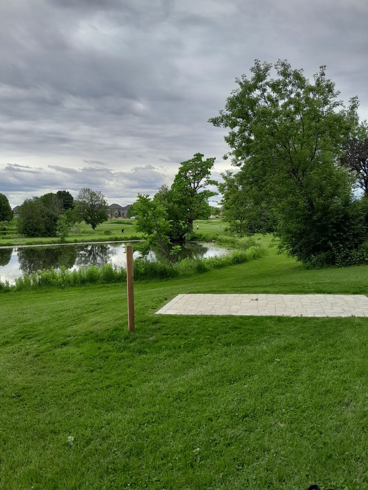 8 Long Tee pad