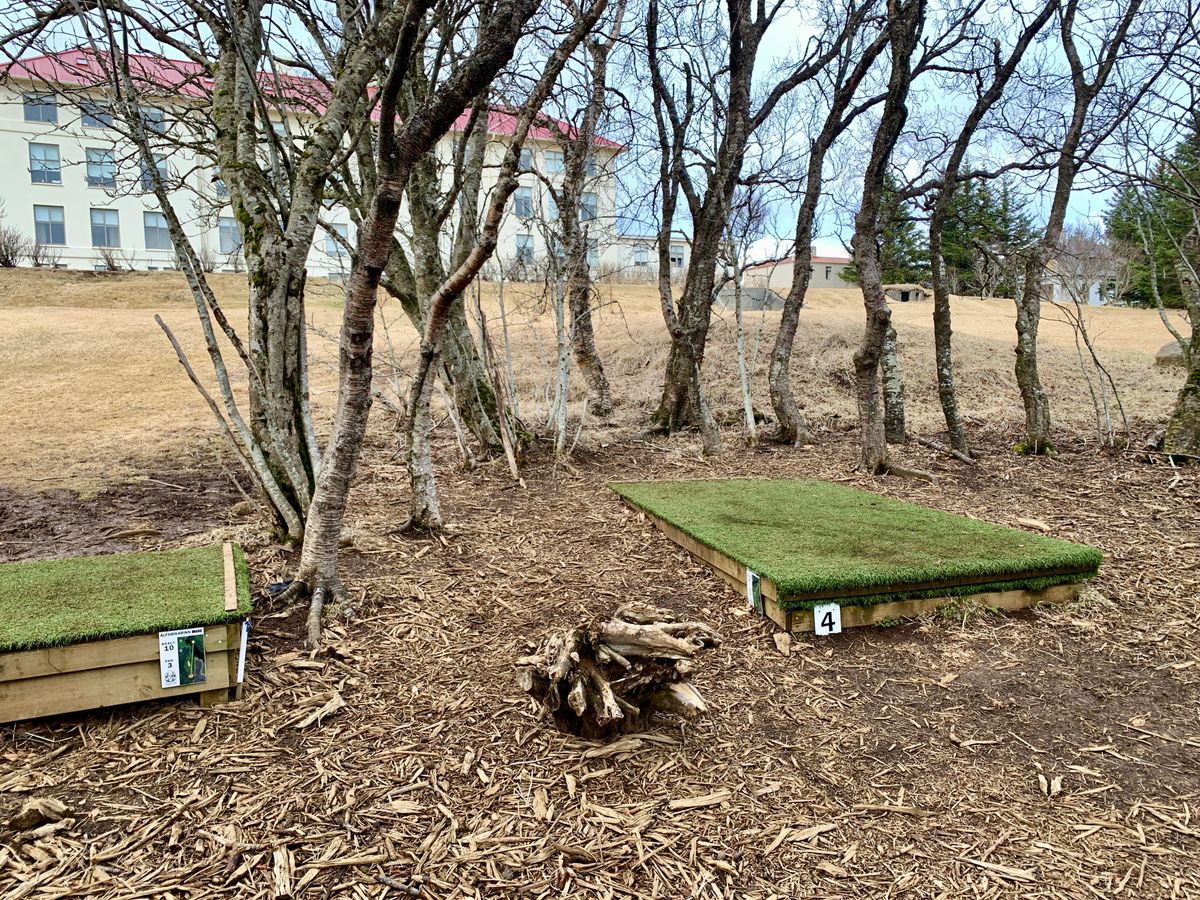 Teepad hole 4