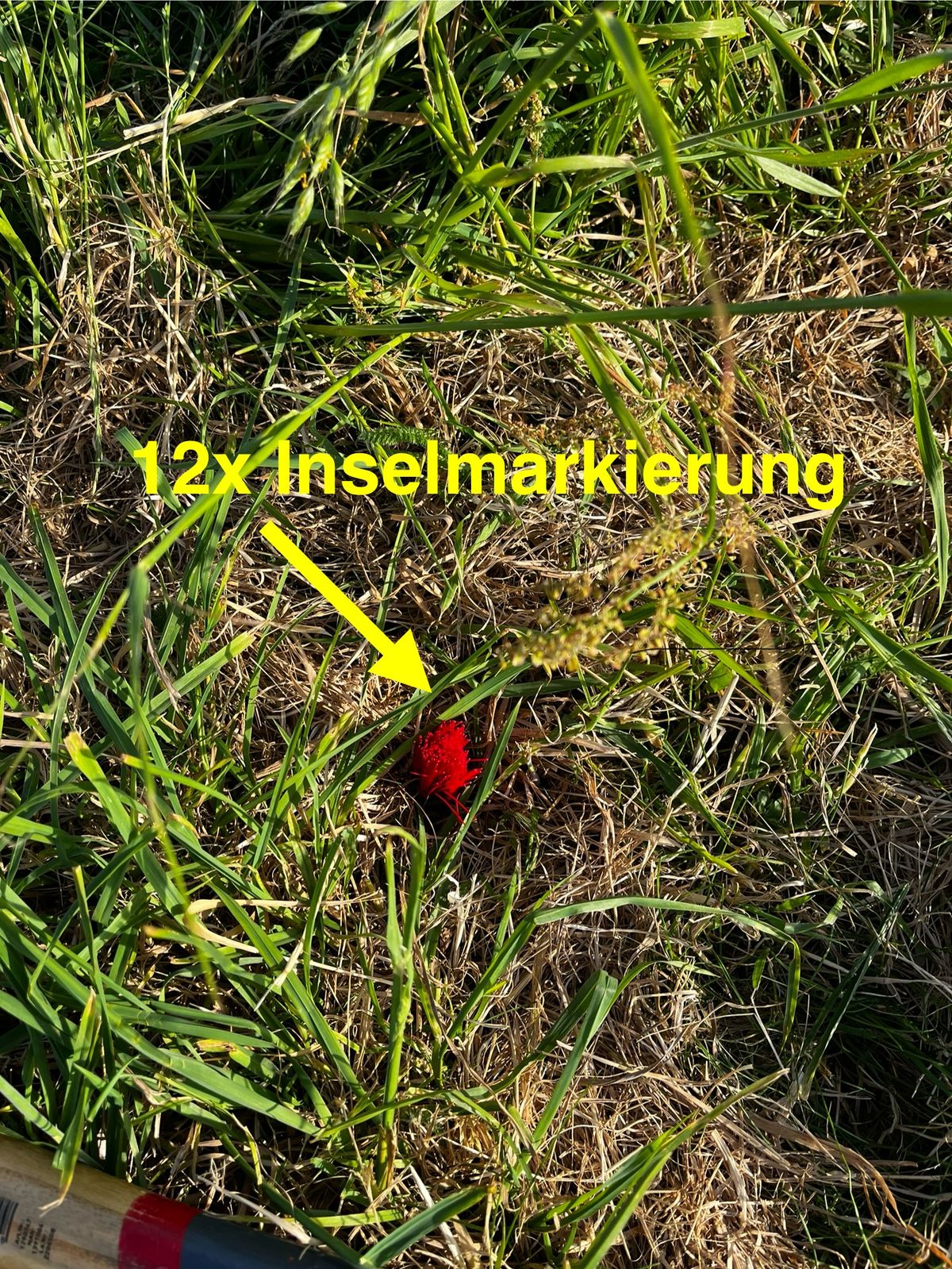 So ist die Insel an Bahn 1 markiert (Radius genau 10m)