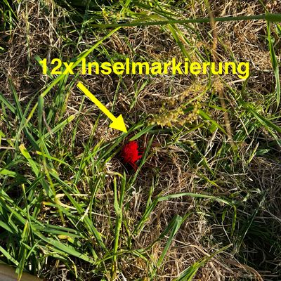 So ist die Insel an Bahn 1 markiert (Radius genau 10m)