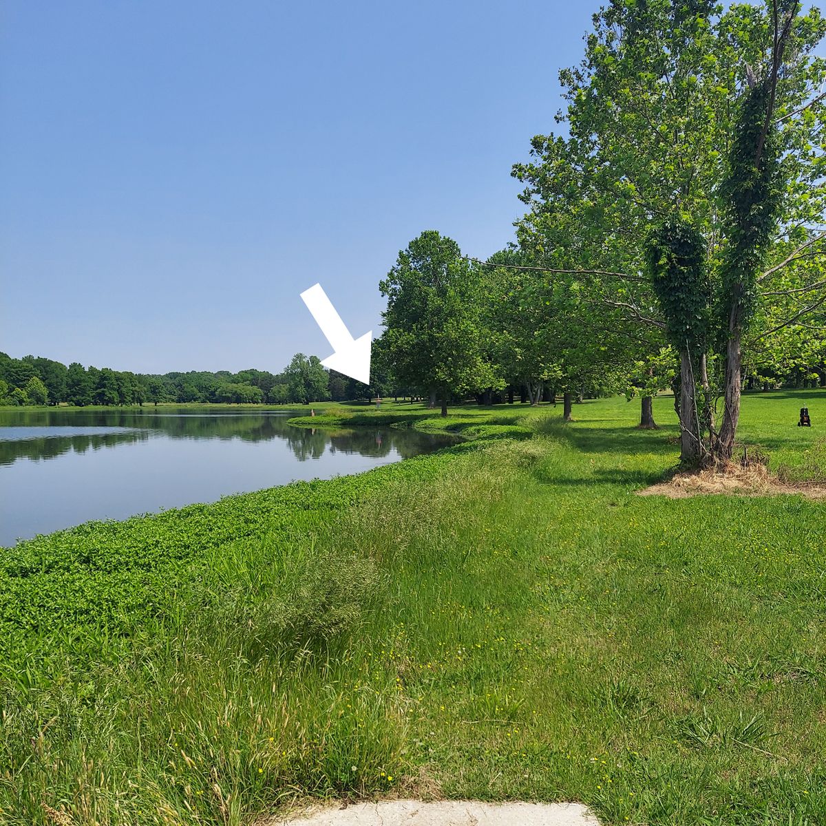 The world-class and beautiful hole 8's green is on a peninsula surrounded by water.