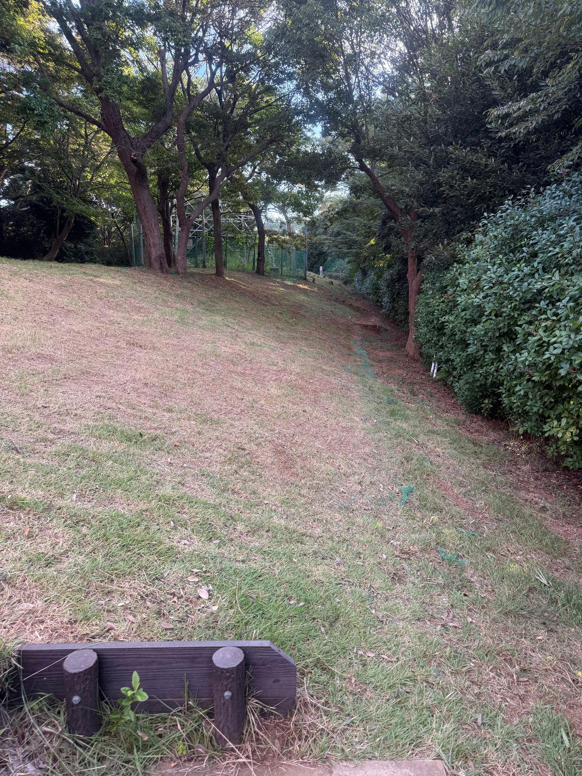 Hole #6