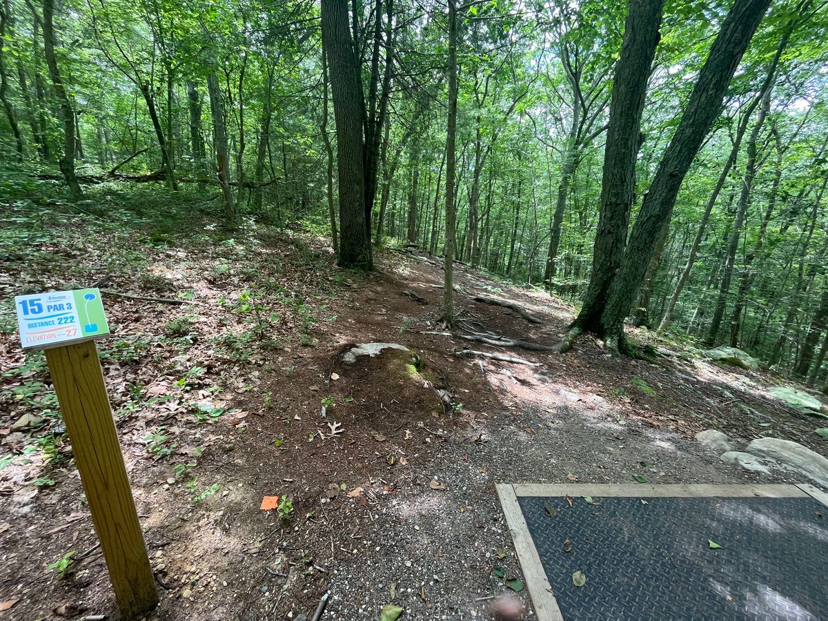 Hole 15