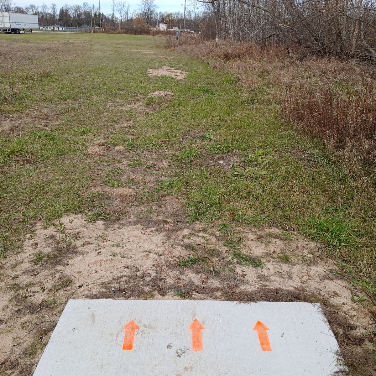 #17 tee,  216 ft. Slight dog leg at the putting green to the right