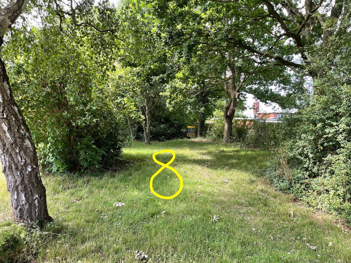 The course as it looks in 2023: Basket 8