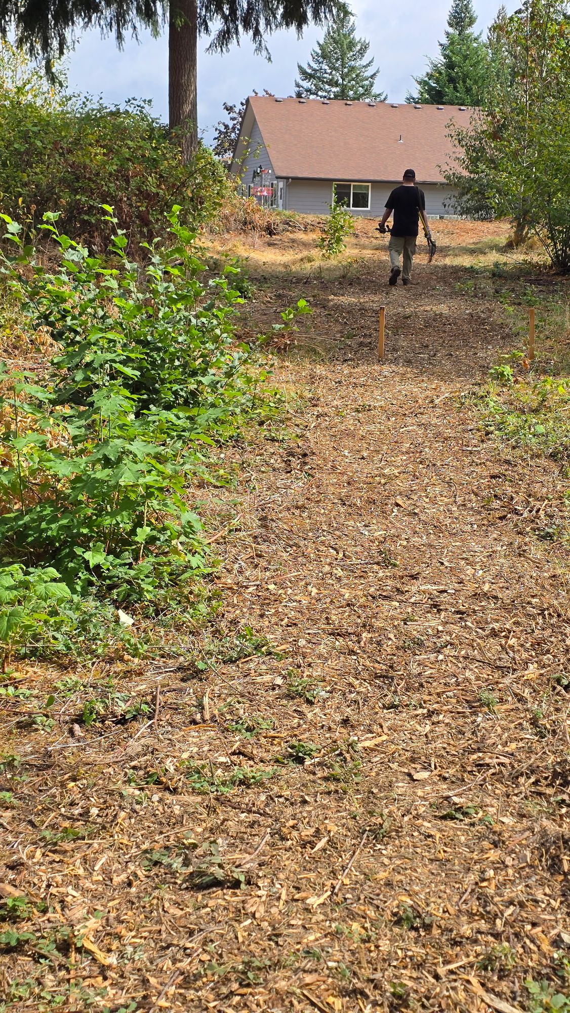 Paths getting clearer with more maintenance done 9/24