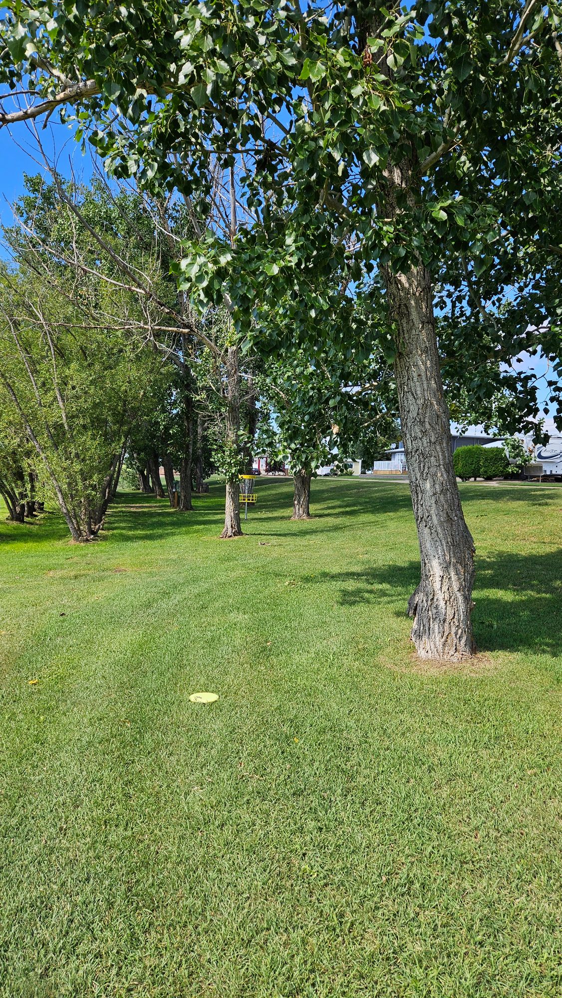 Hole 1 Basket from fairway